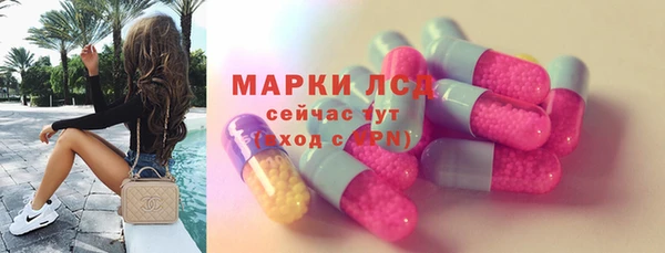 шишки Аша