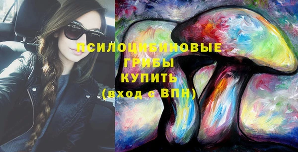 крисы Киреевск
