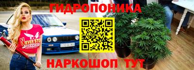 шишки Вязники